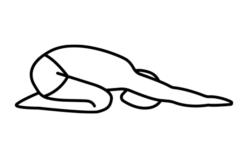 poza dieta poza dieta