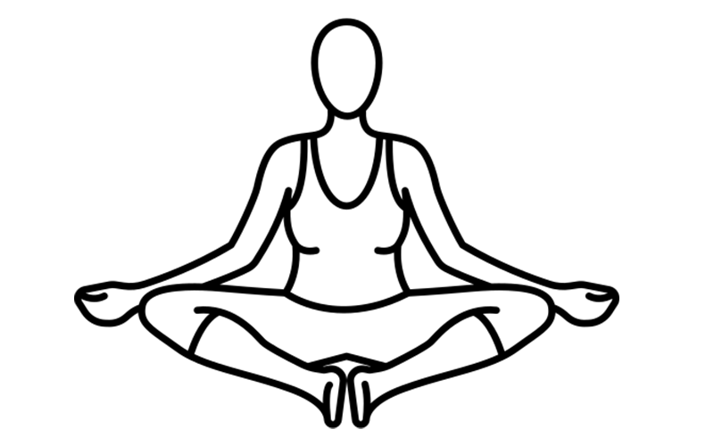 poza motyl poza motyl