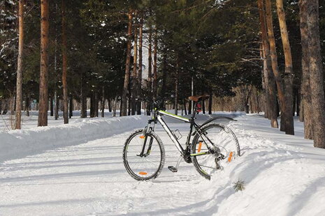 Zimné bicyklové fotenie: Ako zachytiť krásu zimy na fotkách